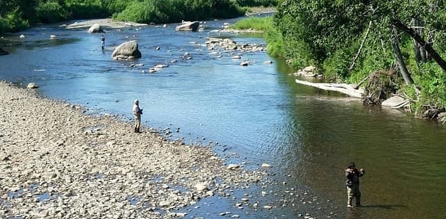 People Fly Fishing