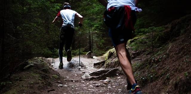 two people running on a trail